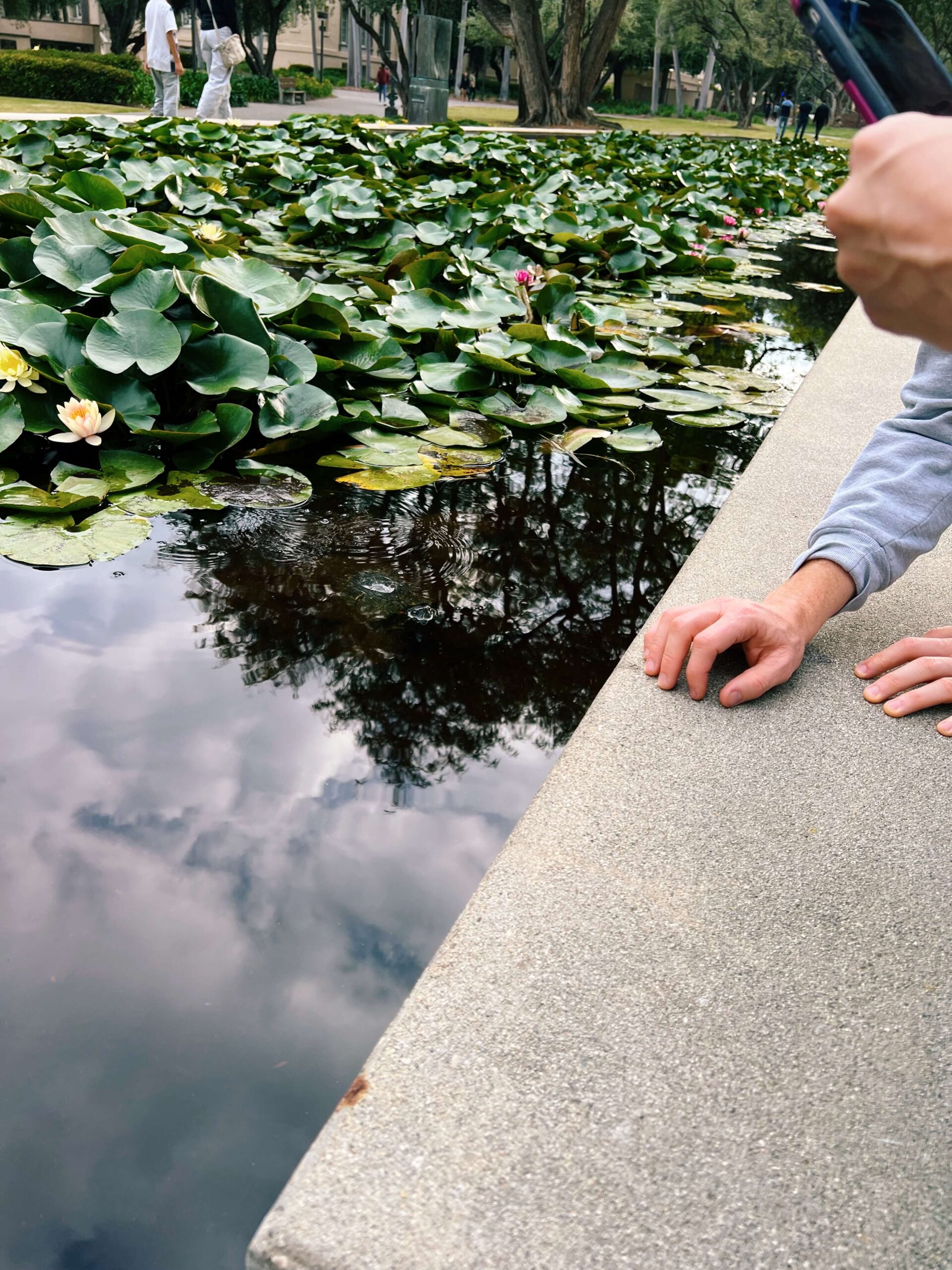 083E7F11-3507-409E-B43C-316558720EE9