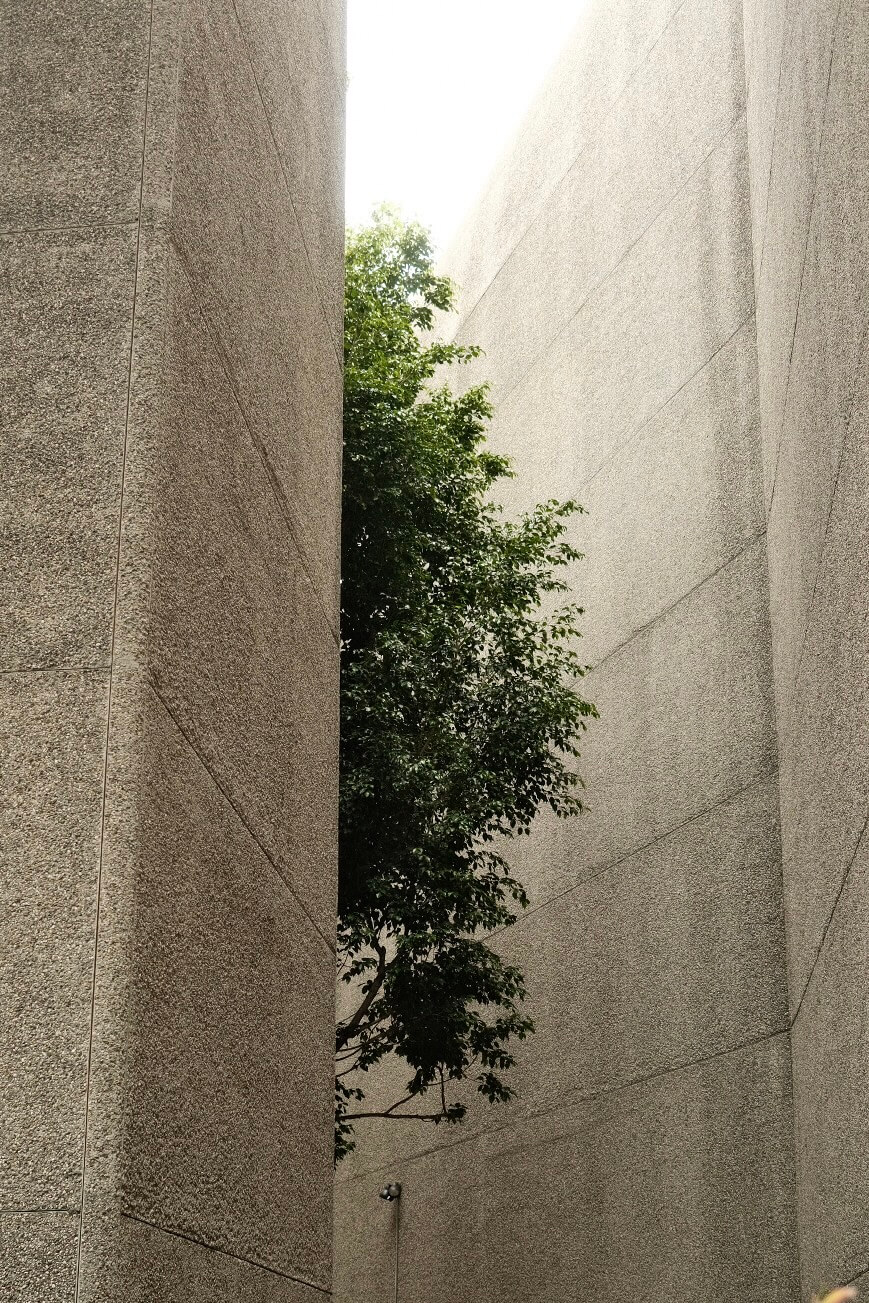 475321C1-108E-4968-9674-62ED245B3C57-10890-0000085463EF3631 (1)